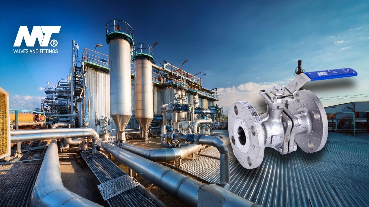 Válvulas Industriales en Acero Inoxidable 304 y 316: Rendimiento y Resistencia Superior
